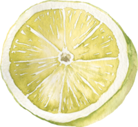 Watercolor green lime sliced open