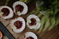 Herbal body scrub laid out in Scallop shells.