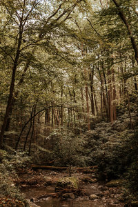 Olivia_Eoghan_Engagement_Session_Blog_9.20.18-64
