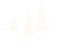 A simple white illustration of 3 trees.