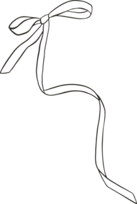 photographers wellington fl