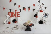cake smash photo studio fargo