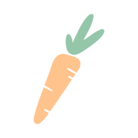 Mollie Mason Wellness carrot icon