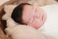 Image of sleeping baby in a posed studio newborn photography session by Lauren Vanier, Newborn Photographer