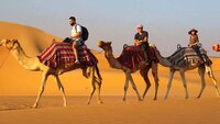 7 - desert fun - camels, sand dunes, camping, driving tours