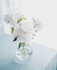 White flowers on blue table