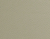 Sand Beige Cafe Leather