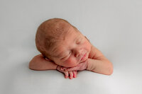 newborn baby boy posed