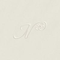 Embossed N Stark