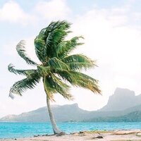 Follow Paulina Cadoret on Instagram - Bora Bora Photographer