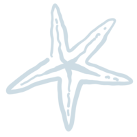 light blue hand-drawn starfish illustration