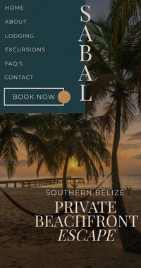 long screenshot of a website that the designer made