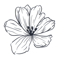 Blue brand flower icon representing Skinlux Beauty Bar, a luxury bridal makeup artist in NYC, NJ & PA, known for high-end bridal beauty services.