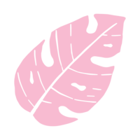 pink leaf illustration