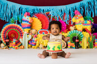 Cincinnati First Birthday Photographer