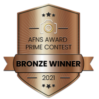 AFNS Award Prime Contest Bronze Winner Embelm