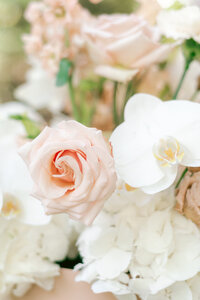 Kaylee Burger Photography - Blush Roses