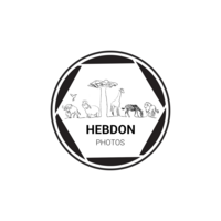 Hebdon Photos Logo2