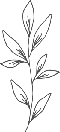 Leaves illustration