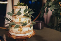 Tallahassee Wedding Cake