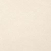 MS Albums SUEDE_0000_cream