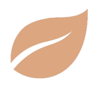 light brown leaf icon