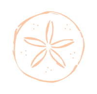 Orange, handdrawn sand dollar icon