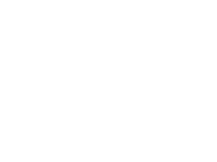 Illustration of a leaf