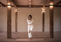 Image of the Inner Shala  Yoga Studio