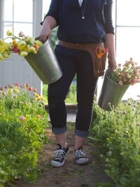 A woman standing in a greenhouse holding two buckets of freshly cut flowers.