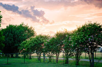 beautiful sunset elopement at The Forever Farm in Rhome, TX