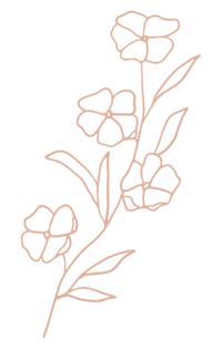 Pink Illustration of Wildflower