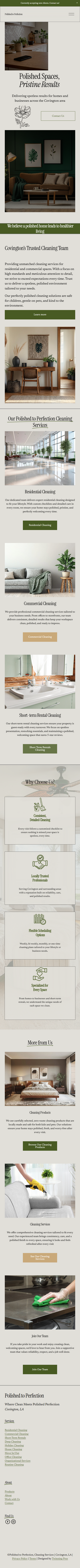 Sunless Success Academy - Custom Mobile Website Design - built on squarespace
