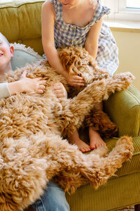 siblings snuggle dog on couch