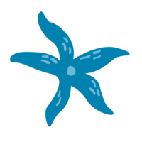 Blue Illustration of flower starfish design for branding