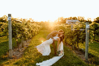 bride and groom dipping back and kissing in a vineyard at sunset