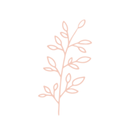 pink herb