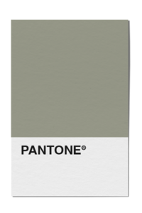 pantone card