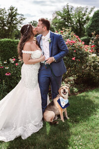 PET CARE ON WEDDING DAY