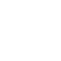 P|S_full logo_white