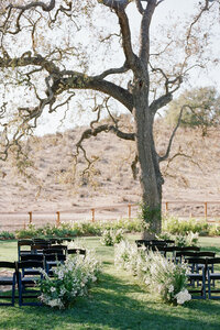 Bride and groom embrace while holding bouquet under a tree