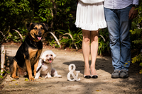 the legs of a woman and a man with two dogs next to them-one white and one black and beige