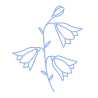 Juma Waganda web element flower illustration