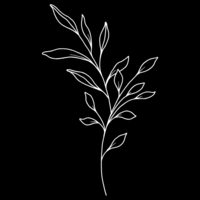 White line-drawn leaf on black background, symbolizing growth, endurance, and wisdom gained through seasons of faith.