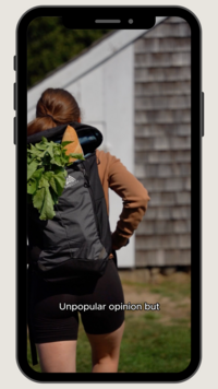 Wondercide dog tick spray instagram reel partnership