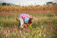 Canine behaviorist hugging dog in field of grass on farm