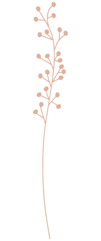 Pink illustration of wildflower