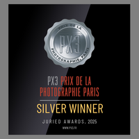 Silver winner badge from 2025 PX3 awards.