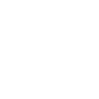 Bianca Nichole and Co logo white