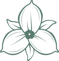 illustration of trillium icon